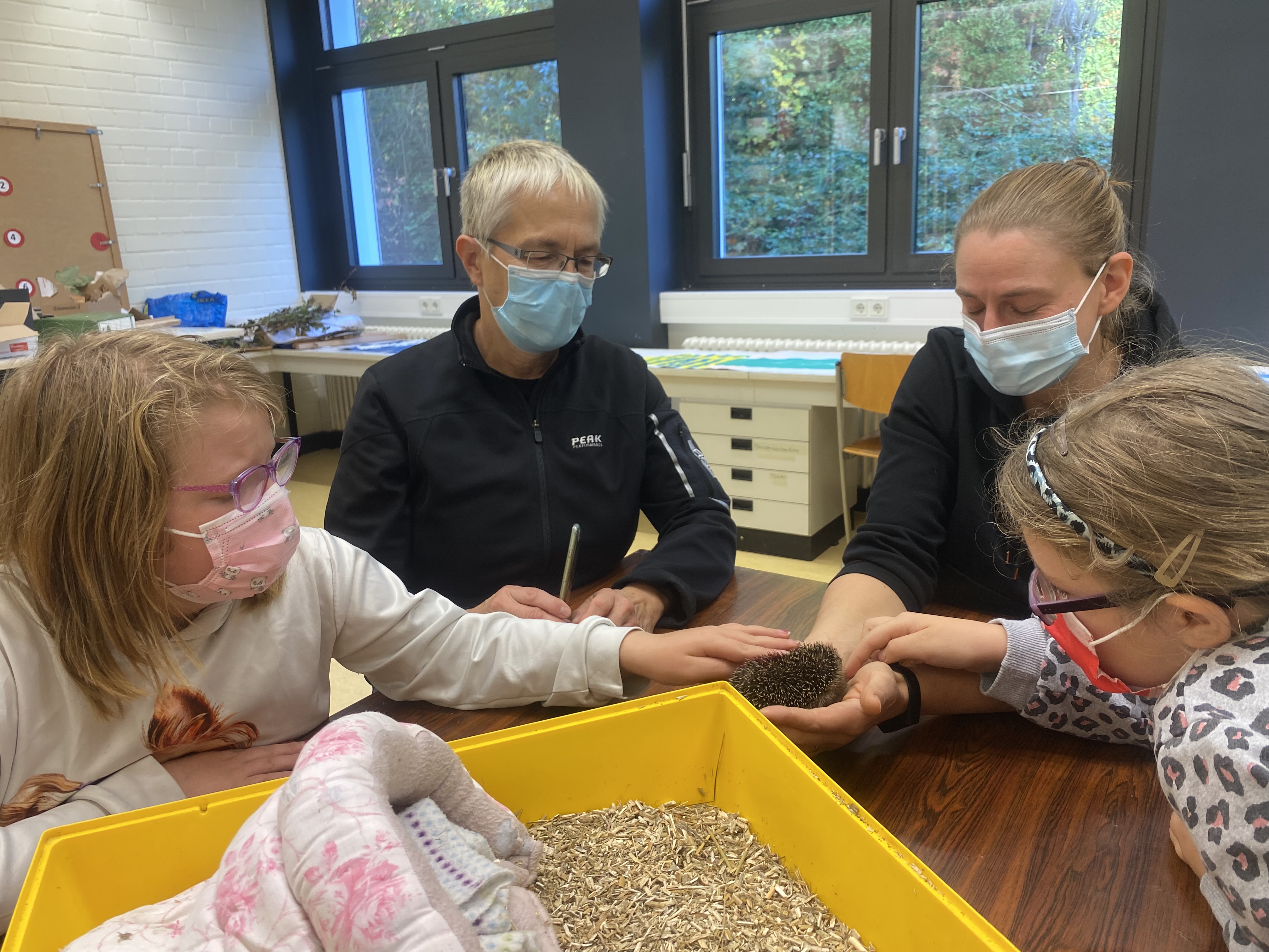 Kinder%20streicheln%20Igel%20und%20Igelexpertin%20h%C3%A4lt%20ihn%20fest